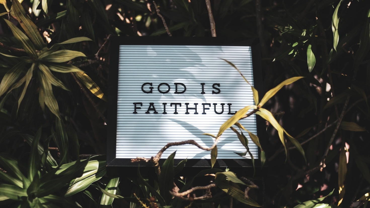 Creating Transformative Impact Through Faith-Based Actions